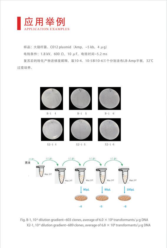 威尼德 Gene Pulser 630 电穿孔仪 触控屏界面，实时显示波形与脉冲参数