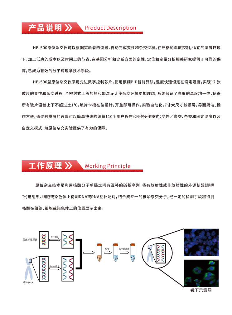 1750034618151503.jpg 威尼德 HB-500 原位杂交仪 正面展示,7英寸智能触控屏,操作简便